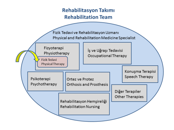 Rehabilitation Team